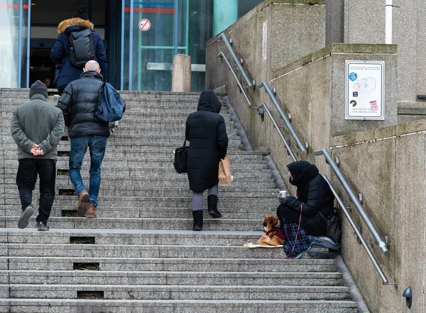 シャレーベーク ブリュッセル首都圏 ベルギー 2020女性は ブリュッセル北Ccn鉄道駅の階段で小さな犬で乞食 — ストック写真