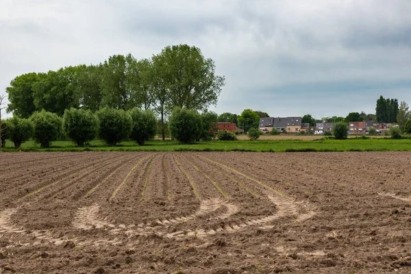 Lebbeke Flandria Belgia 2020 Pemandangan Atas Pedesaan Dan Pertanian Flemish — Stok Foto