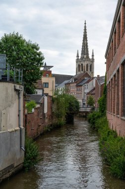 Leuven, Flaman Brabant Bölgesi, Belçika - 07 01 2022 - Dyle nehri yakınlarındaki bir dere manzarası