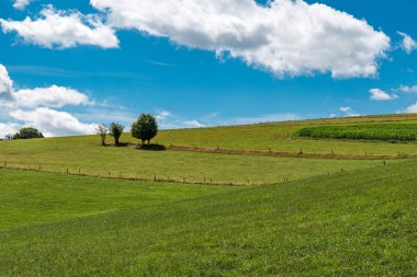 Belçika 'nın Burg-Reuland yakınlarındaki Doğu-Belçika kırsalının tarım tarlaları ve çayırları üzerine panoramik manzara