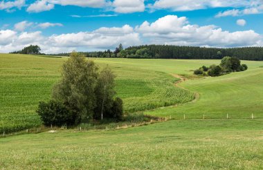 Panoramic view over the agriculture fields and meadows of the East-Belgian countryside near Burg-Reuland, Belgium