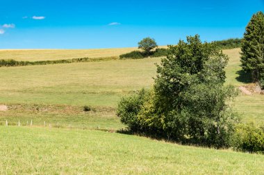 Belçika 'nın Burg-Reuland yakınlarındaki Doğu-Belçika kırsalının tarım tarlaları ve çayırları üzerine panoramik manzara