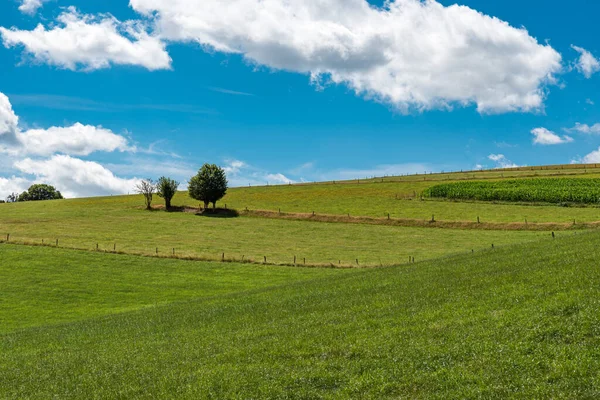 Panoramic view over the agriculture fields and meadows of the East-Belgian countryside near Burg-Reuland, Belgium