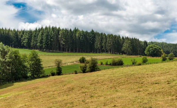 Blick Über Die Landwirtschaftlichen Felder Und Wiesen Der Ostbelgischen Landschaft — Stockfoto