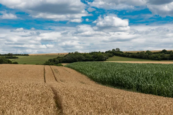 View German Countryside Rhineland Palatinate Hay Rolls Agriculture Fields Welschbillig — ストック写真