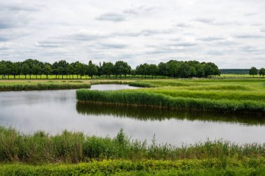 Green water plants and the River Maas around Heusden, The Netherlands