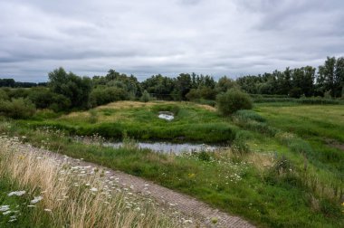 View over the natural floodplain with agriculture field and wetland around Ochten, The Netherlands