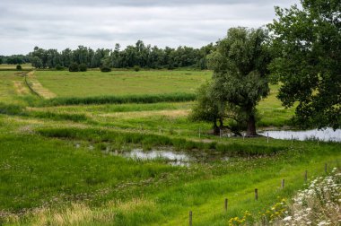 View over the natural floodplain with agriculture field and wetland around Ochten, The Netherlands