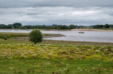 Landscape view over the natural floodplain of the River Waal, Dodewaard, The Netherlands
