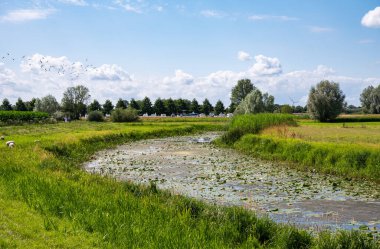 Panoramic view over the green wetlands around the River IJssel, Hattem, The Netherlands