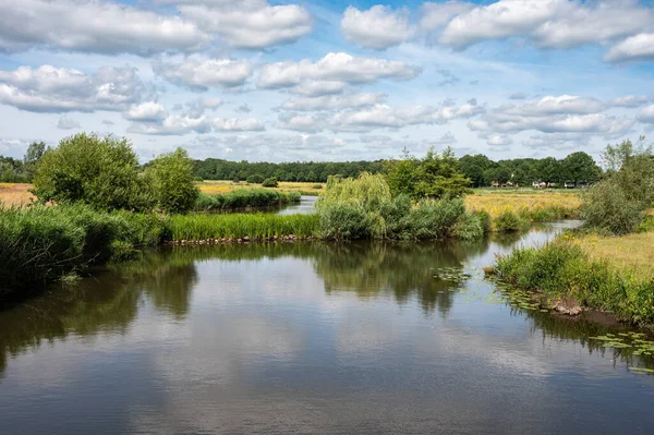 Green Nature Reserve Water Plants River Mark Breda Netherlands — ストック写真