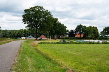 Wernhout, North Brabant, The Netherlands,  07 09 2022 - Road through meadows and agriculture fields at the Dutch Belgian border