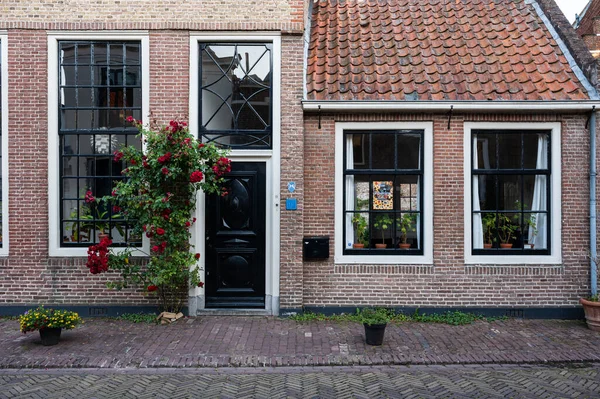 Zaltbommel Gelderland Netherlands 2022 Traditional House Facades Pottery Plants — Stok fotoğraf