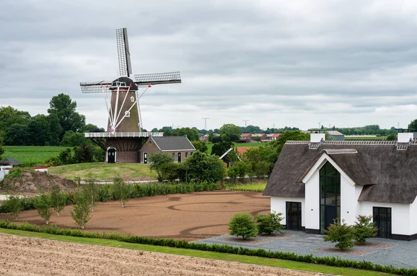 Dodewaard Gelderland Netherlands 2022 Landscape View Farmland Old Windmill — 图库照片