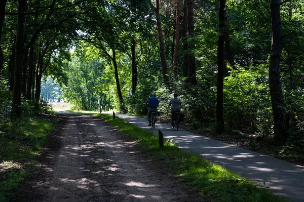 Kootwijk Gelderland Netherlands 2022 Elderly Couple Driving Dark Woods Veluwe — Zdjęcie stockowe