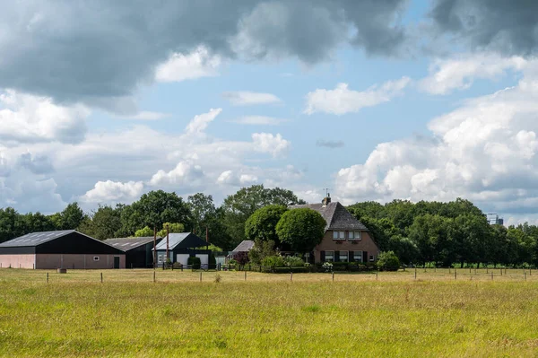 Zwolle Overijssel Нідерланди 2022 Dike View Nature Fields Tree Cloud — стокове фото