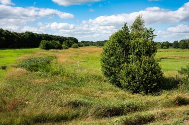 View over the Bunnerveen fen national park in Norg, The Netherlands