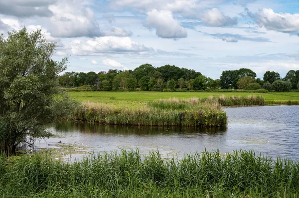 Wetlands Natural Ponds Green Surroundings Fluid Zone River Vecht Holten — ストック写真