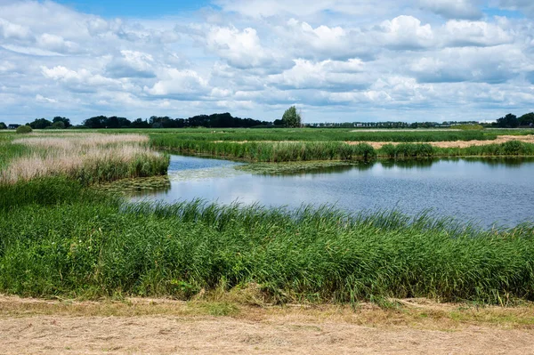 View Wetlands Green Surroundings Hasselt Overijssel Netherlands — ストック写真