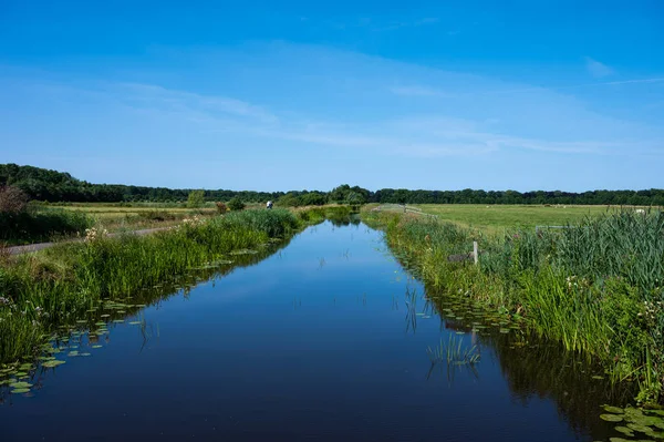 Wetland Nature Reserve Blue Water Lake Green Grass Blue Sky — ストック写真
