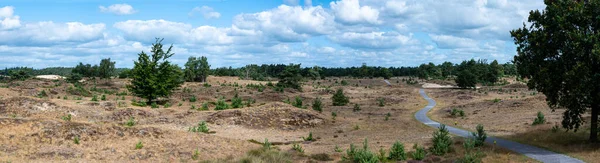 Appelscha Drenthe Netherland Extra Large Panoramic View Sand Hills Drents — Photo