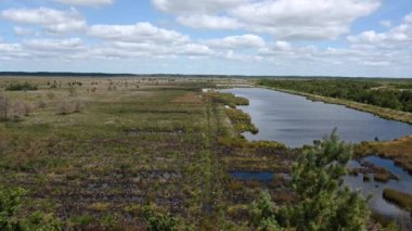 Tower view over the pond and swamp of the fen national park, Fochteloo, The Netherlands