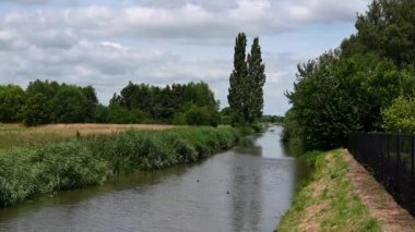 Green nature reserve with water plants at the River Mark, Breda, The Netherlands