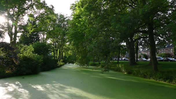 Wageningen Netherlands 2022 View Green Water Woods City Park — ストック動画