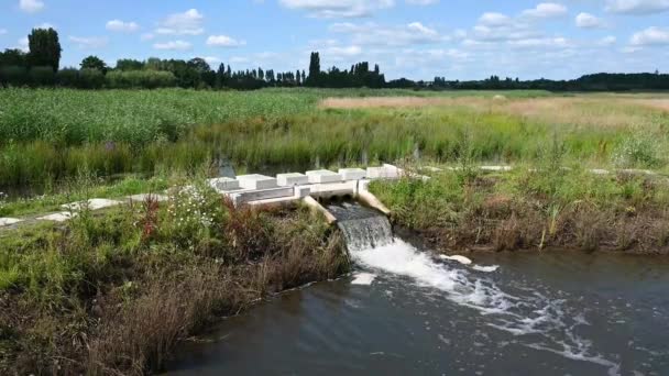 Polder Nature Reserve River Dyle Duffel Antwerp Belgium — Stock video