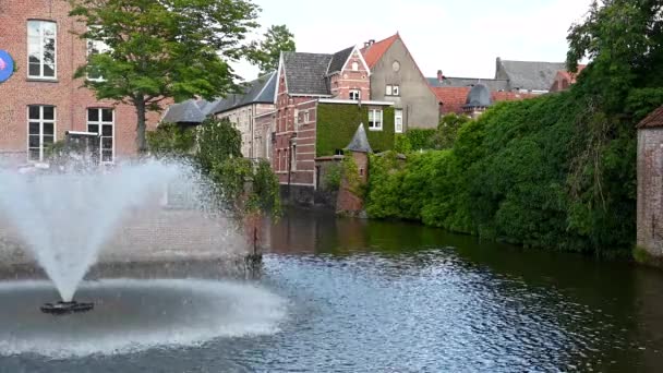 Lier Antwerp Province Belgium 2022 Fountain River Dyle Historical City — Vídeo de stock