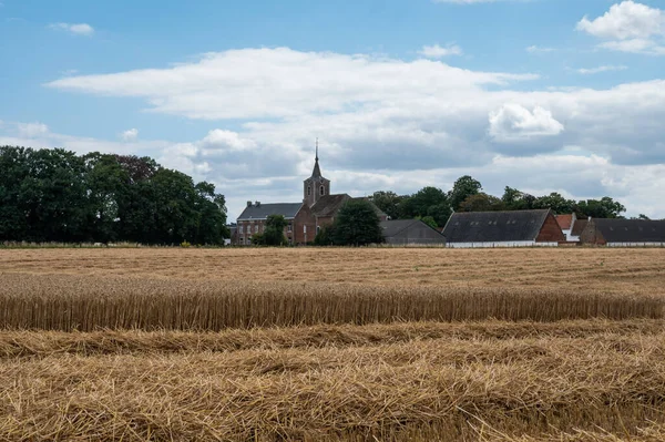 Bossut Região Wallon Bélgica 2022 Campos Trigo Cortado Amarelo Vista — Fotografia de Stock