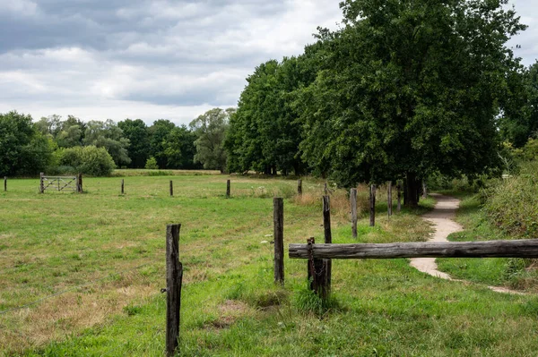 Zelené Louky Pěší Stezka Přírodní Rezervací Doode Beemde Oud Heverlee — Stock fotografie