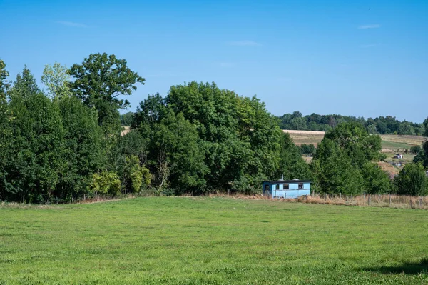 Zemědělská Pole Stromy Proti Modré Obloze Hoegaarden Belgie — Stock fotografie