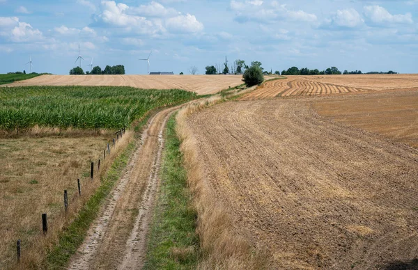 ベルギー ナミュール周辺の黄金の農業地帯への道 — ストック写真