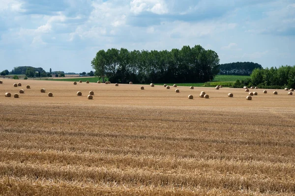 Hay roles and straw at the golden agriculture fields around Namur, Belgium