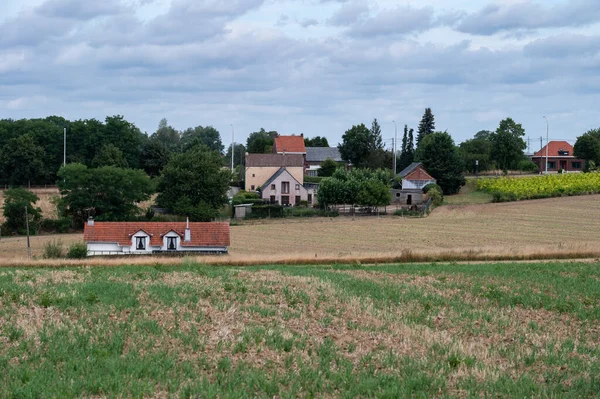 Ländliche Szene Auf Den Grünen Landwirtschaftlichen Feldern Rund Das Dorf — Stockfoto