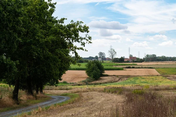 Vidéki Színtér Mezőgazdasági Terekkel Tielt Winge Körüli Flamand Vidéken Belgium — Stock Fotó