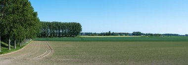 Belçika, Saeftinghe 'de boğulan arazinin doğa koruma alanı üzerinde geniş panoramik bir bakış açısı.