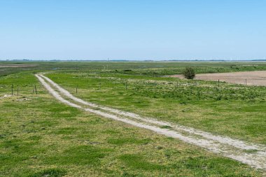 Saeftinghe, Hollanda 'nın batmış topraklarının doğa koruma alanlarına bir göz atın.
