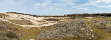 Zwin doğa rezervinin kumulları üzerinde panoramik manzara, Knokke, Belçika