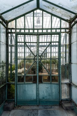 Laeken, Brüksel Başkent Bölgesi - Belçika - 06 06 2021 Kraliyet cam evlerinde bitki yetiştirme