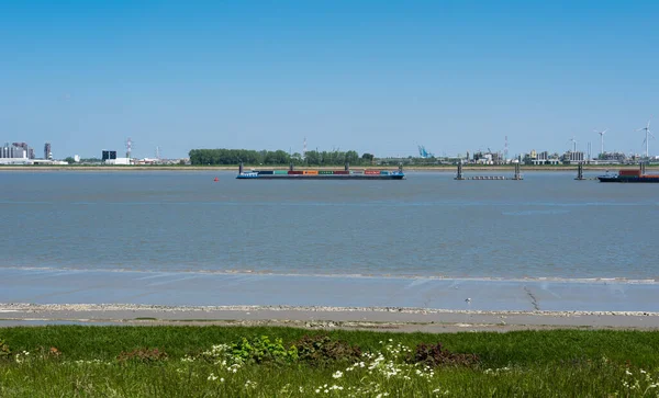 Doel East Flanders Belgium 2021 Вид Через Міжнародні Вантажні Судна — стокове фото