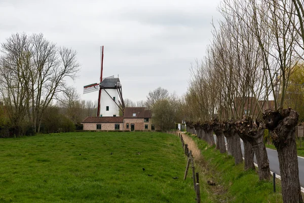 Damme Belgia 2021 Wiatrak Tle Natury — Zdjęcie stockowe