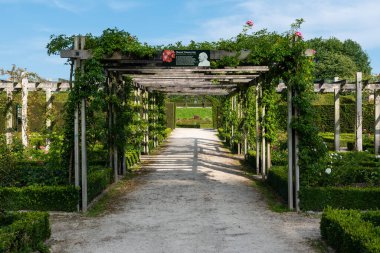 Sint-Pieters-Leeuw, Flaman Brabant Bölgesi - Belçika - 07 20 2021 Coloma gül bahçeleri