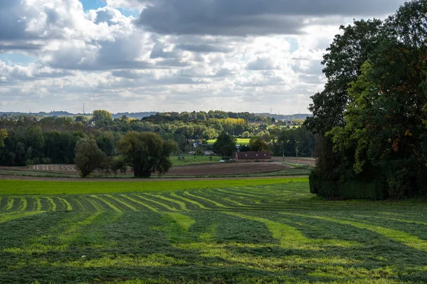 벨기에 주위의 플랑드르 시골에 농경지를 횡단하였다 — 스톡 사진