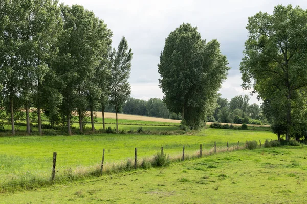 Zemědělská Pole Stromy Zelené Trávníky Vlámském Venkově Okolí Zwalmu Flandry — Stock fotografie