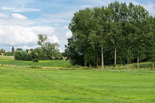 Mezőgazdasági Területek Fák Zöld Pázsit Flamand Vidéken Zwalm Flandria Belgium — Stock Fotó