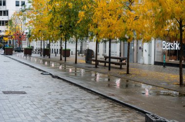 Brüksel Eski Kenti, Brüksel Başkent Bölgesi, Belçika - 10 14 2022 - Sonbahar ağaçlı ıslak kaldırım taşı caddesi