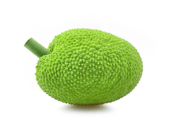 Breadfruit Artocarpus Altilis Geïsoleerd Witte Achtergrond — Stockfoto