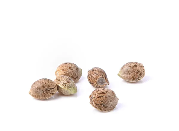 Kenevir tohumları, marihuana tohumları. Beyaz arkaplanda izole edilmiş ekin için kuru tohumlar.